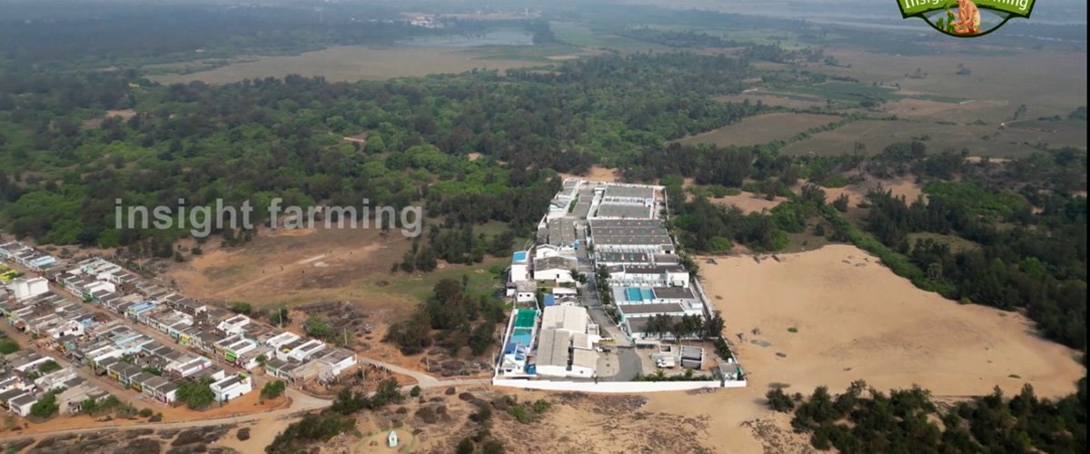 Aquatic Farms Limited