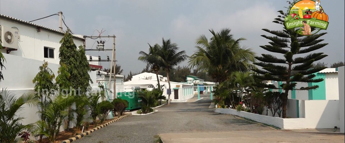 Aquatic Farms Limited