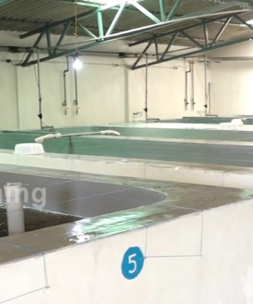 7-Aquatic Farms limited-Banner Image-1200x500